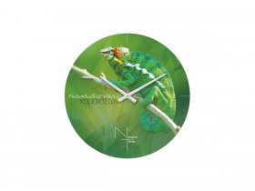 Часы настенные Nicole Time NT503 в Абрамово - abramovo.mebel-nsk.ru | фото